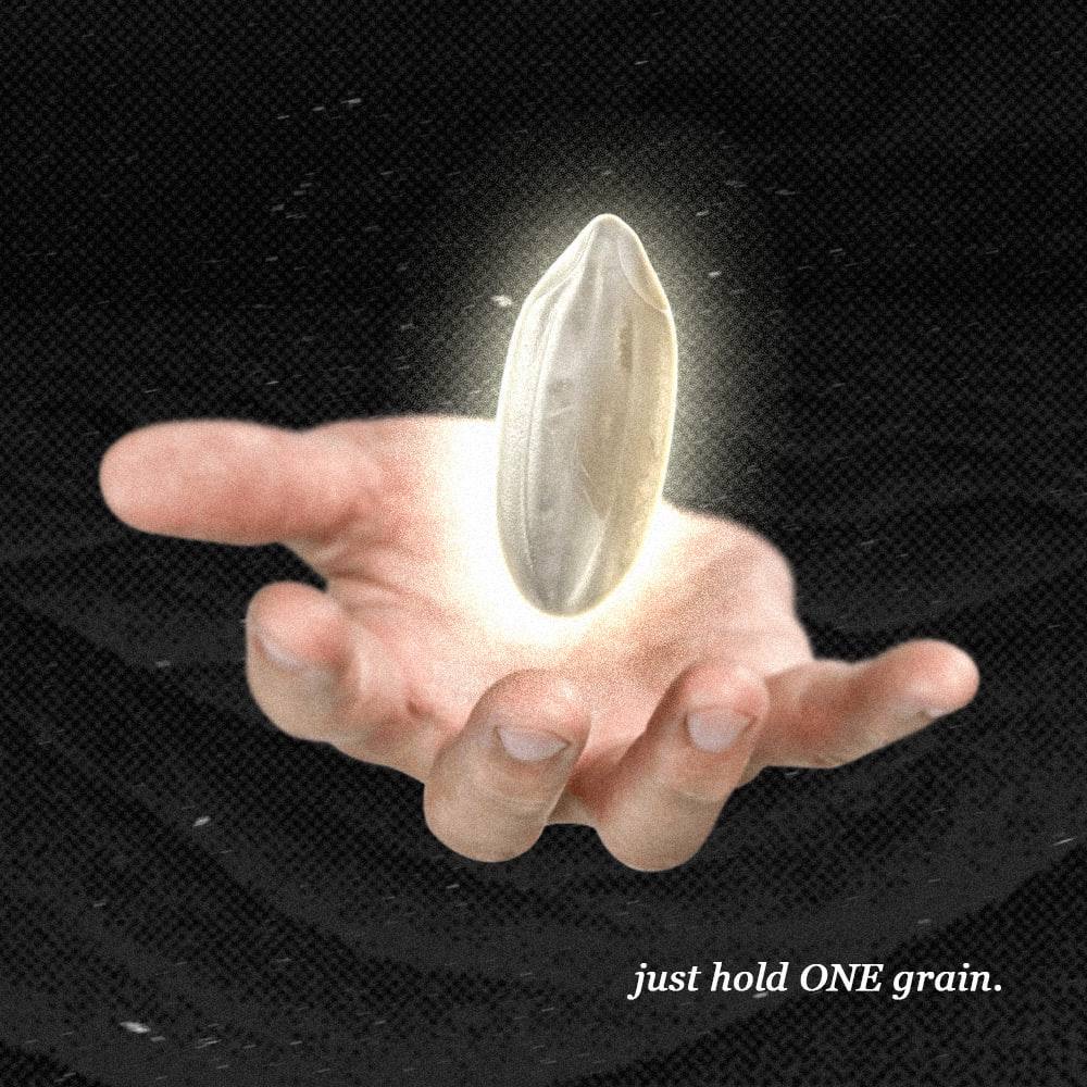 One grain of rice — the lore